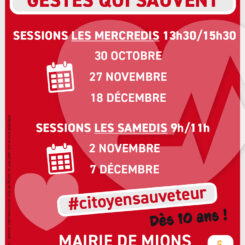 session gestes qui sauvent